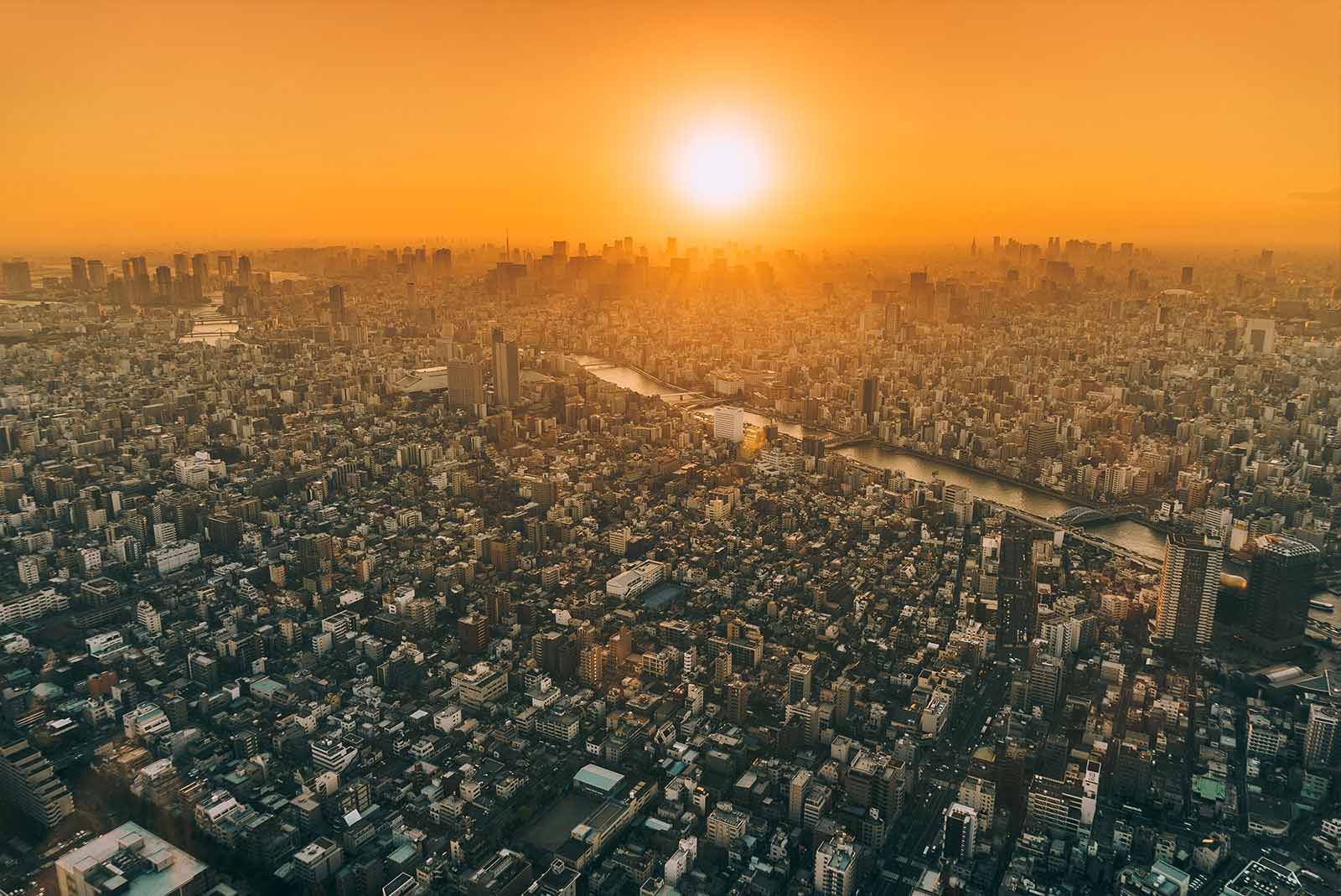 旅人日志